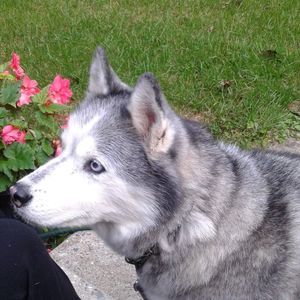 Meet your Posher, Karla